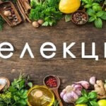 селекція це