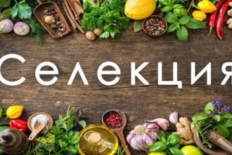 селекція це