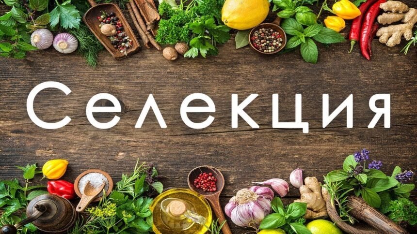 селекція це